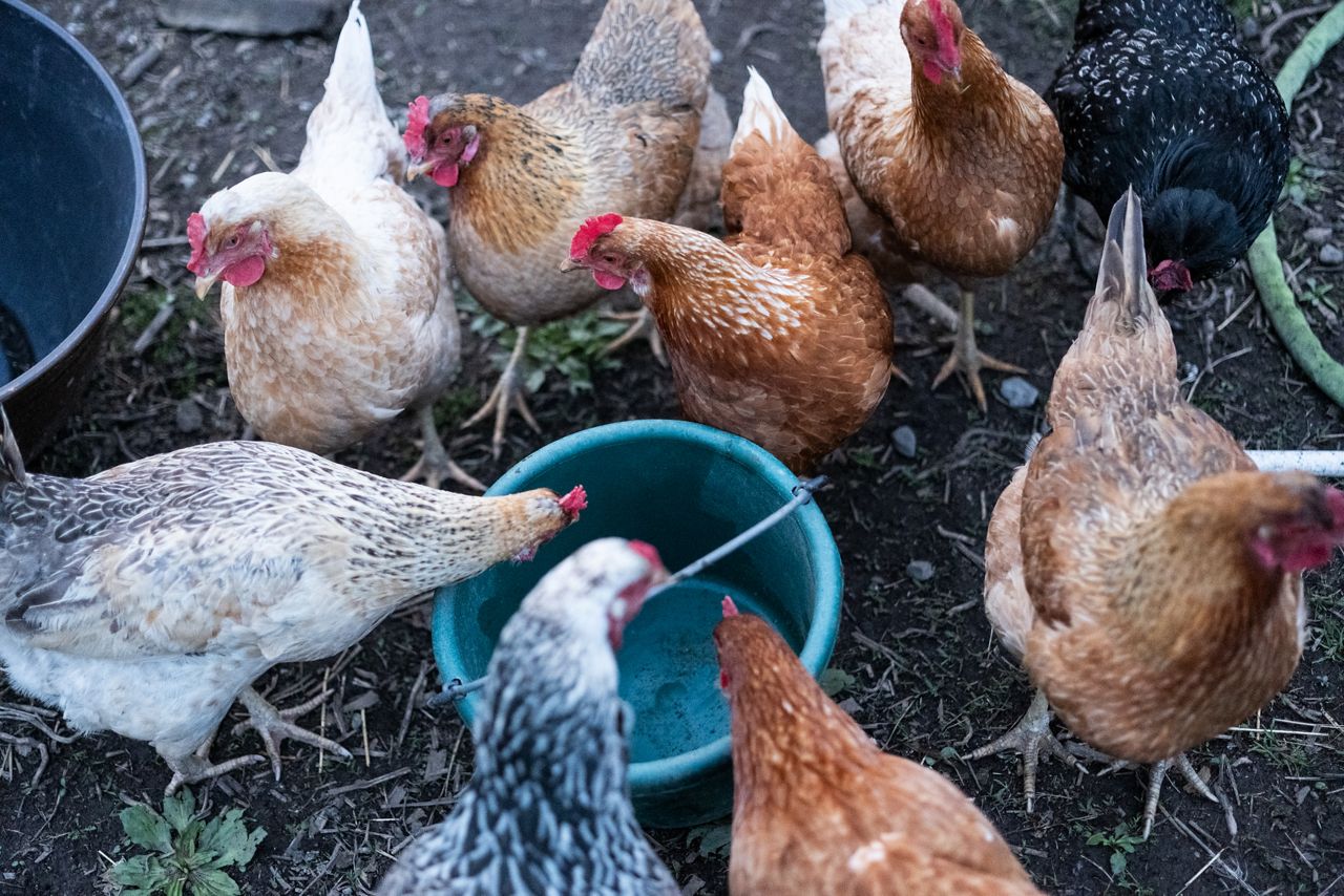 tecnologia, red latina, redlatinastl,agricultura